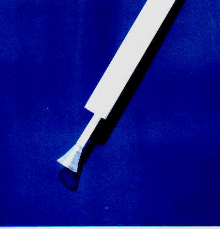 Polycoliwasa valve.TIF (647214 bytes)